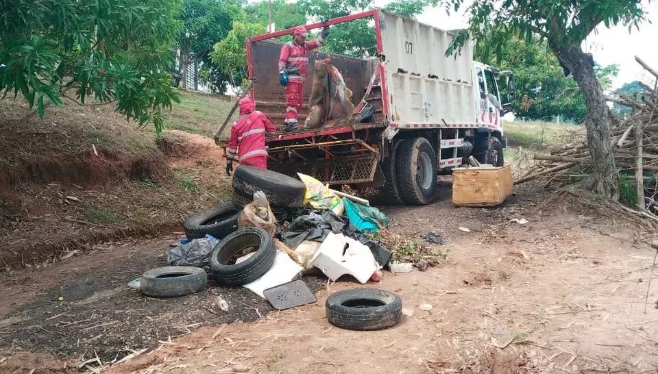 Marsh cleanup