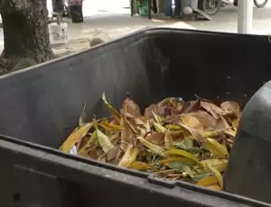 Veolia sensibilizó a la comunidad del Parque de la Vida para prevenir el robo de contenedores y la acumulación de residuos