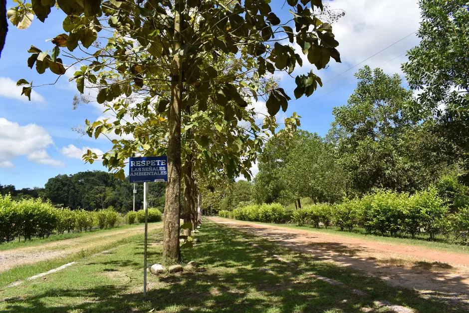 Site road 